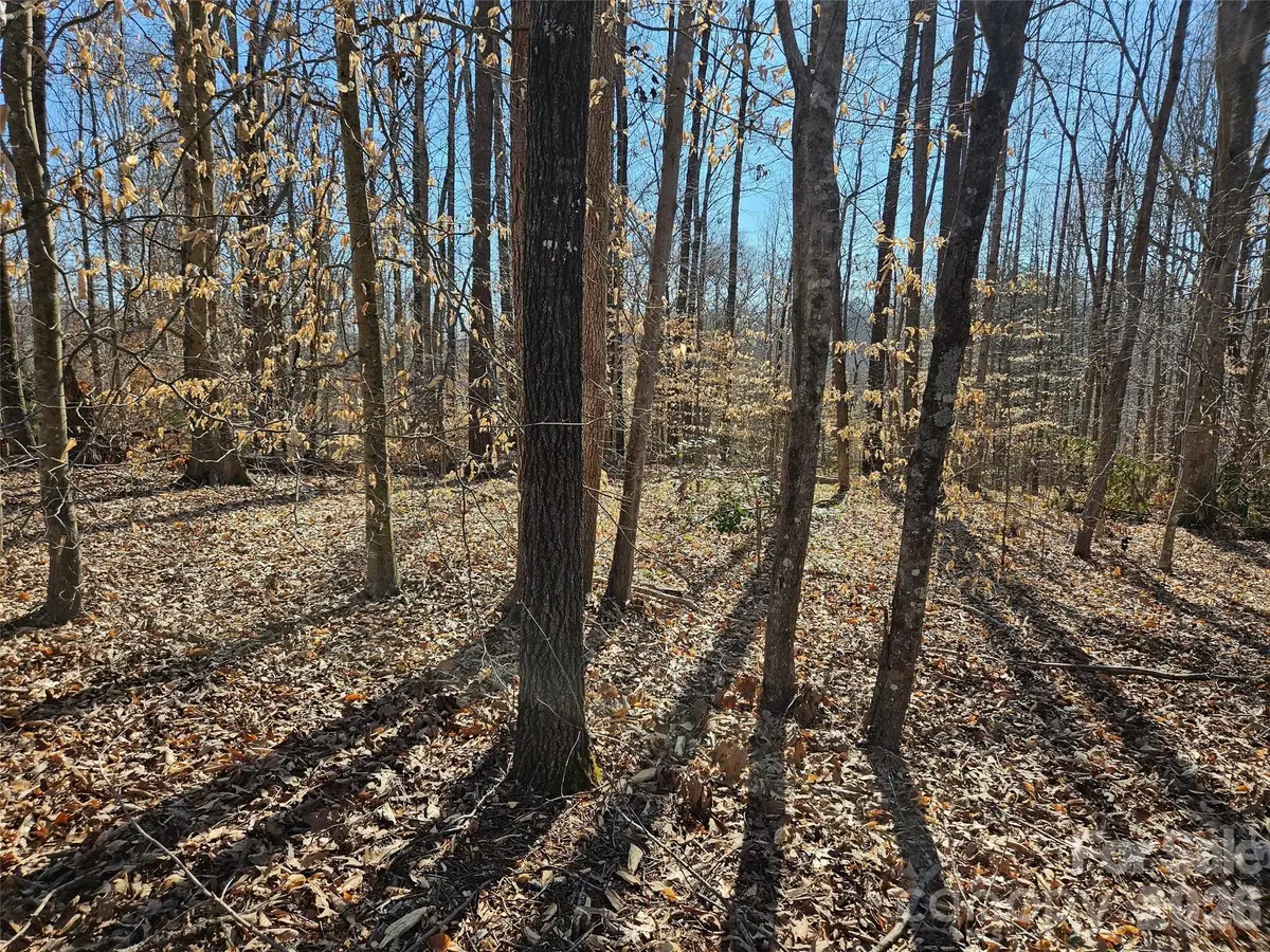 0 General Griffith Circle #37, Rutherfordton, NC 28139 - #1