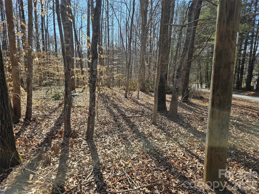 0 General Griffith Circle #37, Rutherfordton, NC 28139 - #2