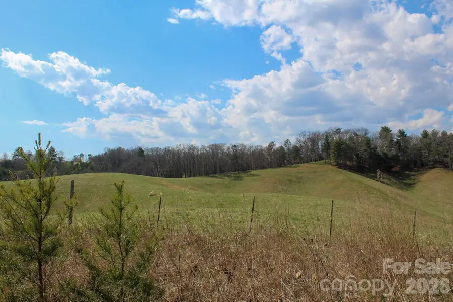 99999 Fletcher Martin Road, Alexander, NC 28701 - #2