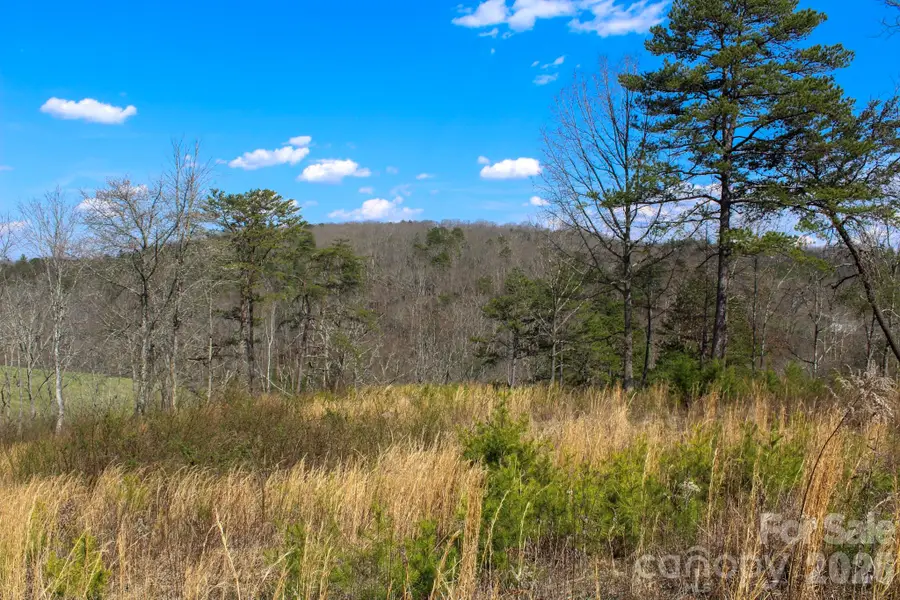 99999 Fletcher Martin Road, Alexander, NC 28701 - #3
