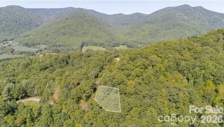 TBD Clear Creek Drive #17, Plumtree, NC 28657 - #2