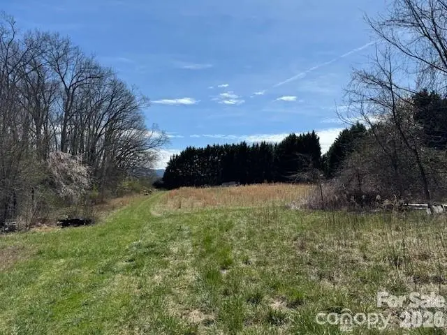 7 Pressley Branch Road, Arden, NC 28704 - #1