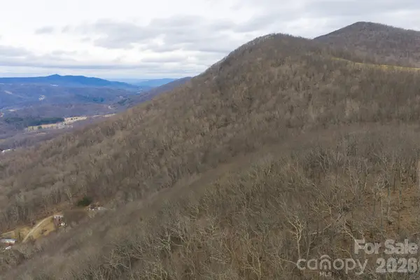 TBD Tater Hill Road, Zionville, NC 28698