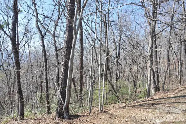 TBD Mountain Crest Drive S #41, Marion, NC 28752