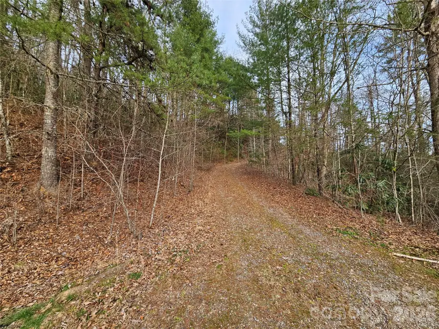 00 Wispy Willow Drive #22T, Waynesville, NC 28785 - #2