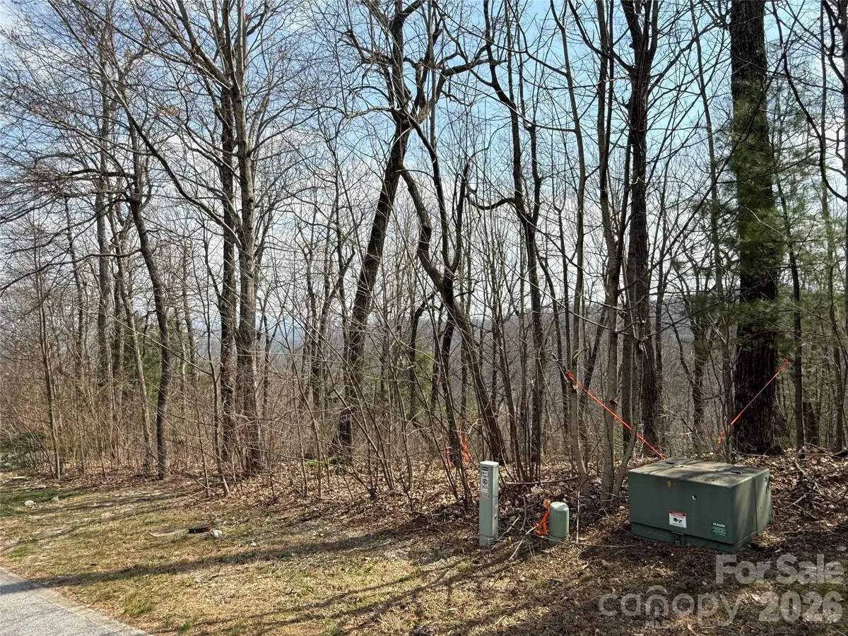 108 Fawncrest Court #51 - R, Flat Rock, NC 28731 - #1