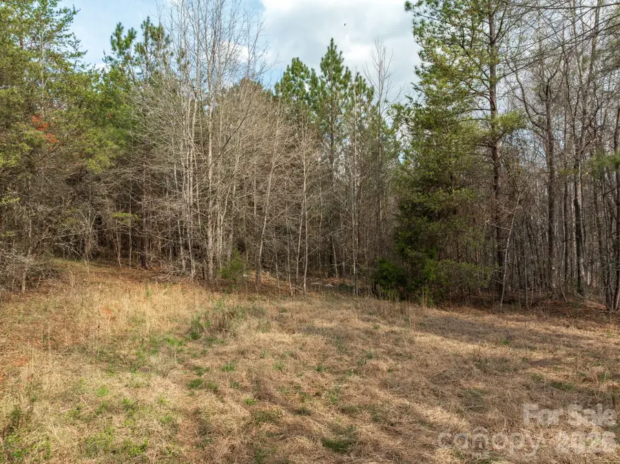 000 Melvin Hill Road, Campobello, SC 29322 - #2