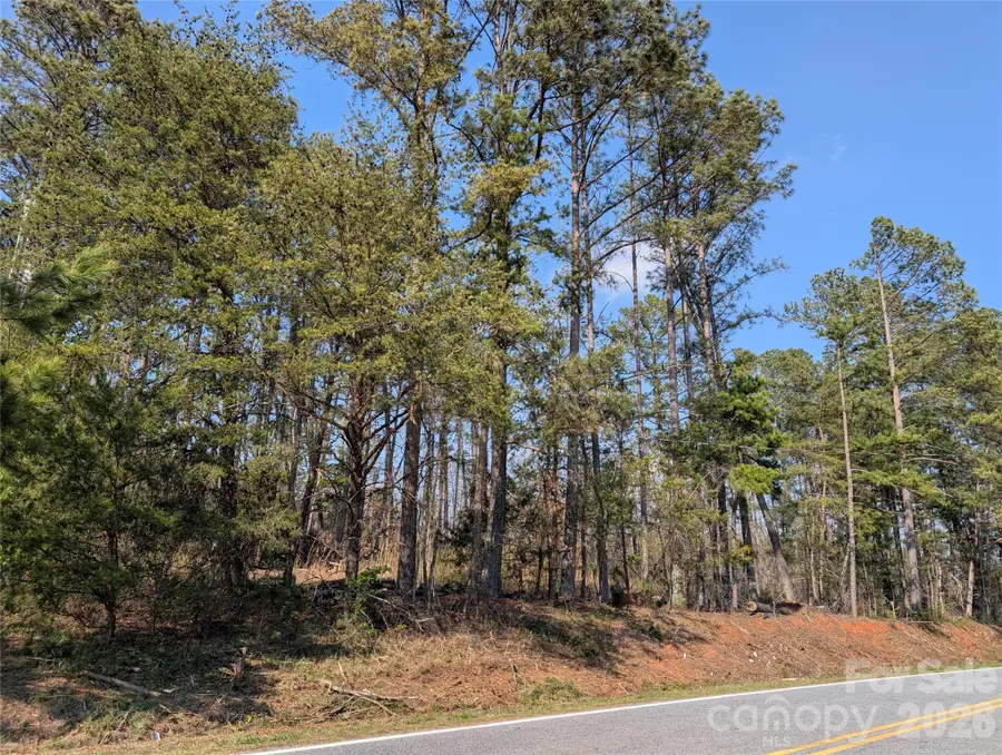 TBD Whitesides Road, Forest City, NC 28043 - #3