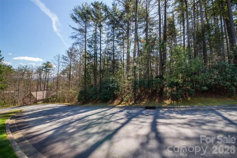 000 Camptown Road, Brevard, NC 28712 - #3
