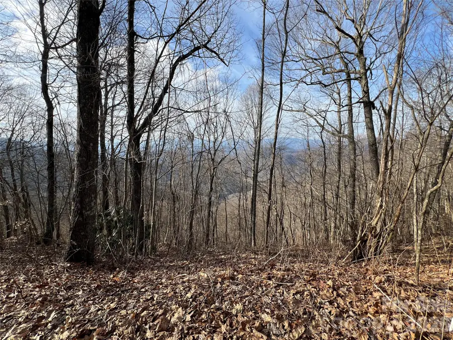 24/26 Butterfly Path #24/26, Bryson City, NC 28713 - #3