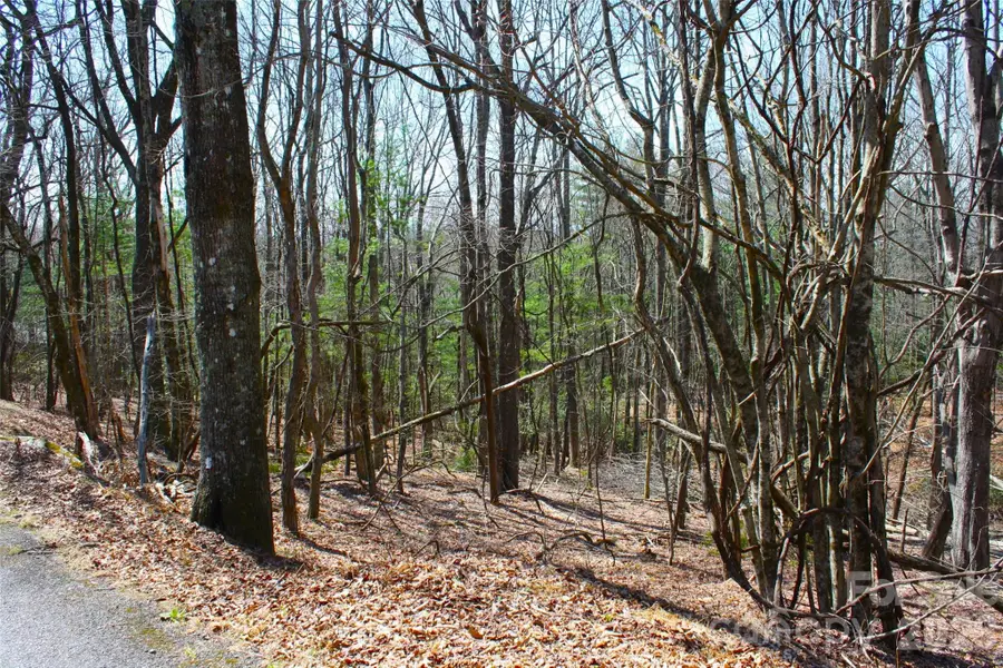 0000 Slick Rock Road, Brevard, NC 28712 - #2