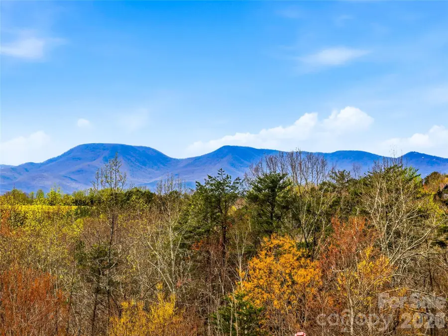 286 Preservation Trail, Columbus, NC 28722 - #2