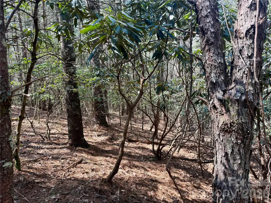 2494 Ivy Rays Way #41, Nebo, NC 28761 - #3