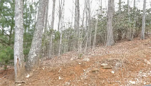 TBD Vineyards Retreat Road #14, Newland, NC 28657