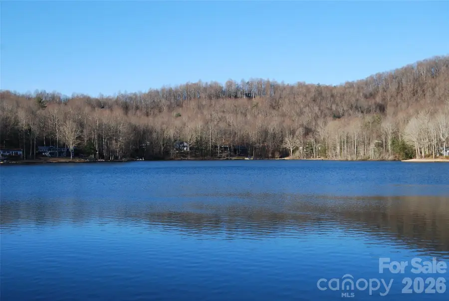 87 Pole Cat Road, Saluda, NC 28773 - #3