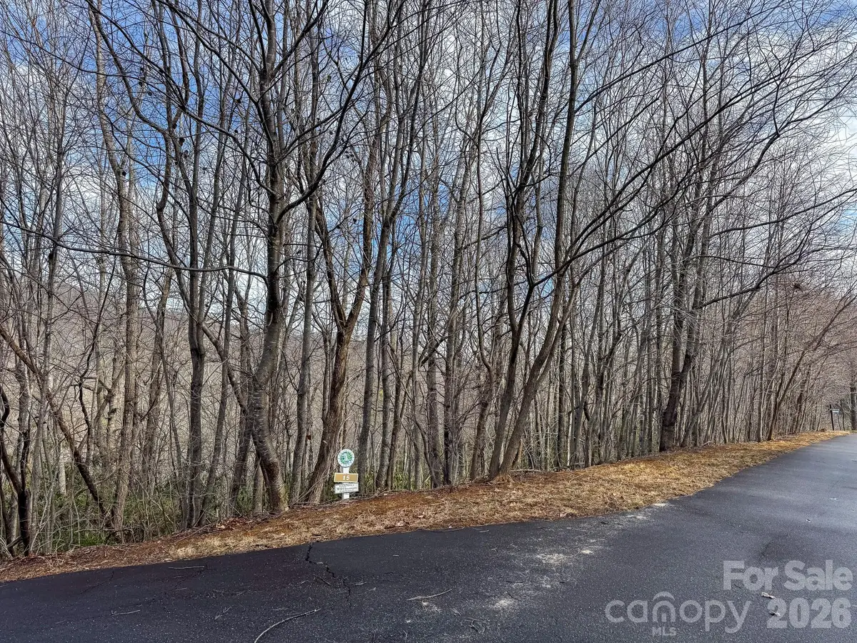 9999 Rainbow Falls Trail, Black Mountain, NC 28711 - #1