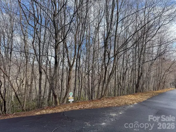 9999 Rainbow Falls Trail, Black Mountain, NC 28711