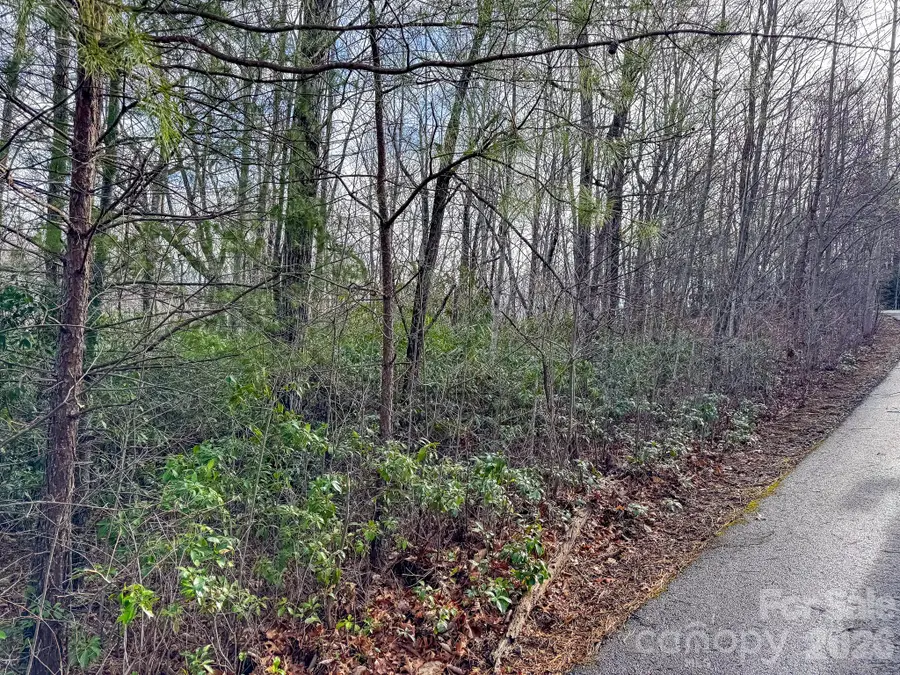 9999 Rainbow Falls Trail, Black Mountain, NC 28711 - #3