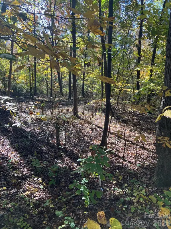 0 Poplar Lane Road, Albemarle, NC 28001