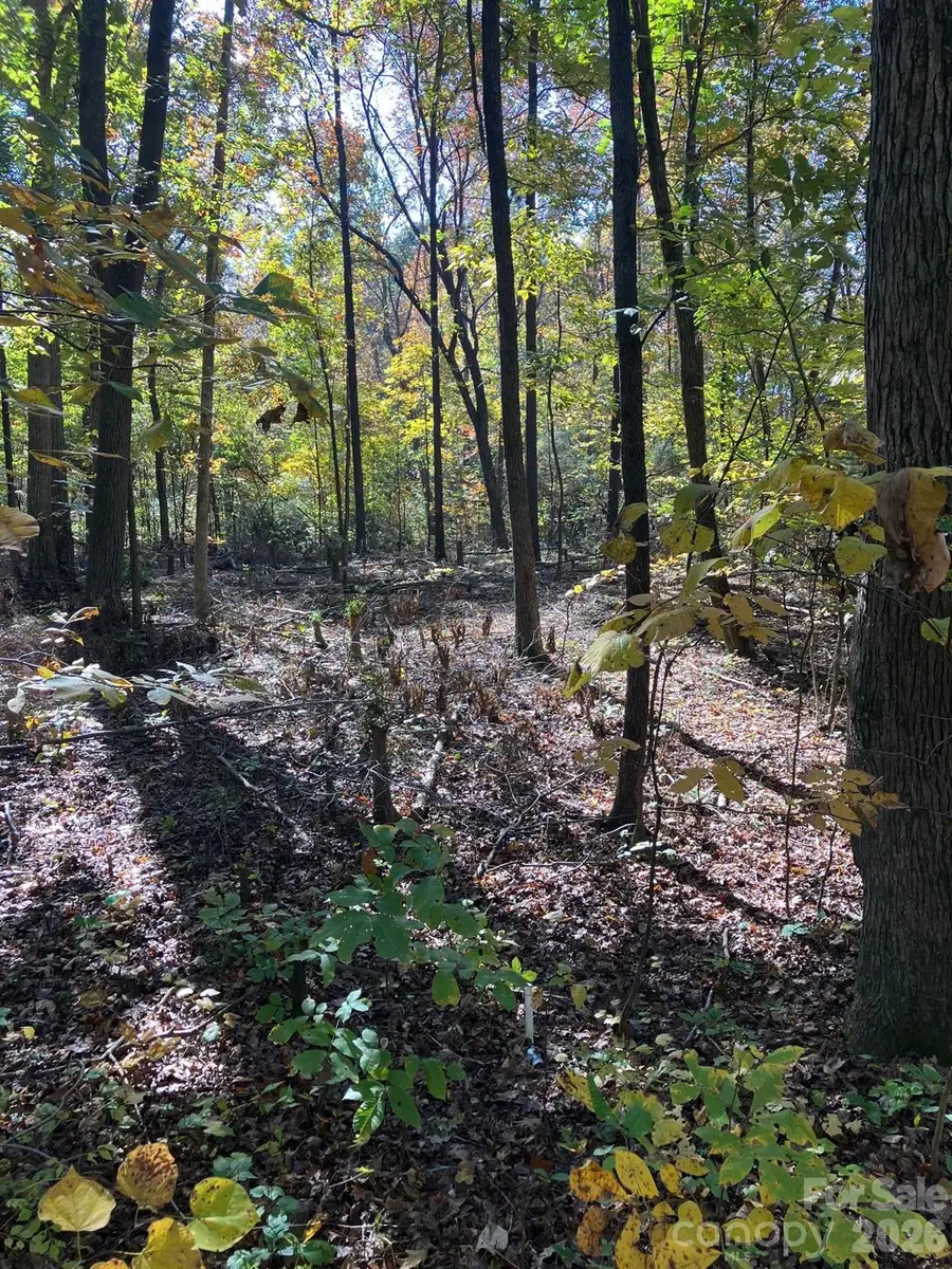 0 Poplar Lane Road, Albemarle, NC 28001 - #2