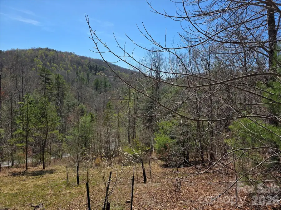 LOT 21 Big Raven Lane #21, Saluda, NC 28773 - #3