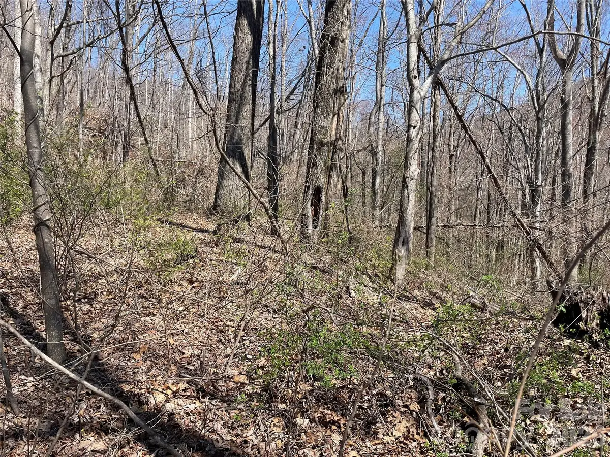 182 Old Mountain Pass, Hendersonville, NC 28792 - #1