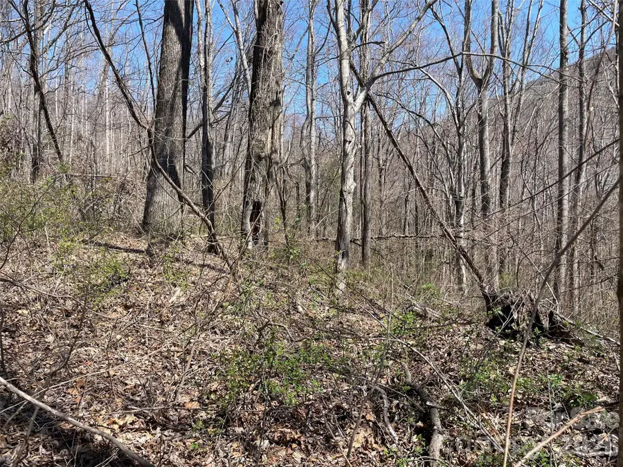 182 Old Mountain Pass, Hendersonville, NC 28792 - #2