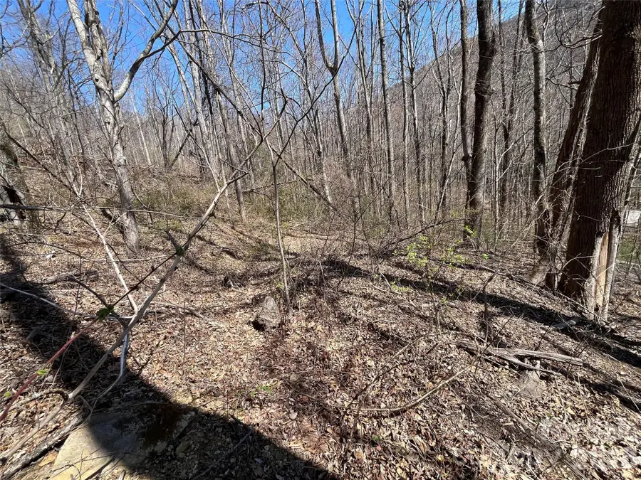 182 Old Mountain Pass, Hendersonville, NC 28792 - #3
