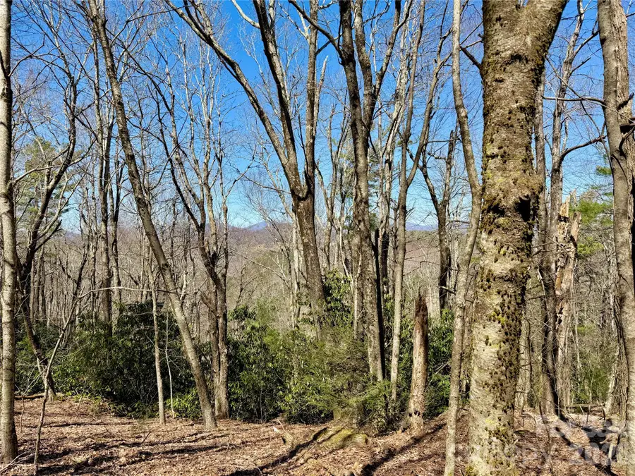 TBD Grandview Drive #Tract A, Boone, NC 28607 - #2