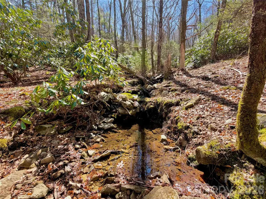 TBD George Hayes Road #Tract C, Boone, NC 28607 - #2