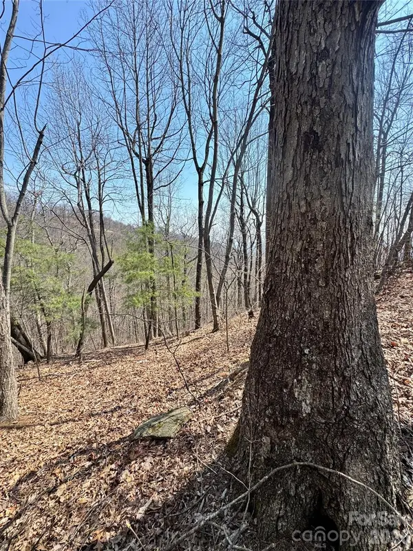 0000 Pinnacle Parkway, Union Mills, NC 28167