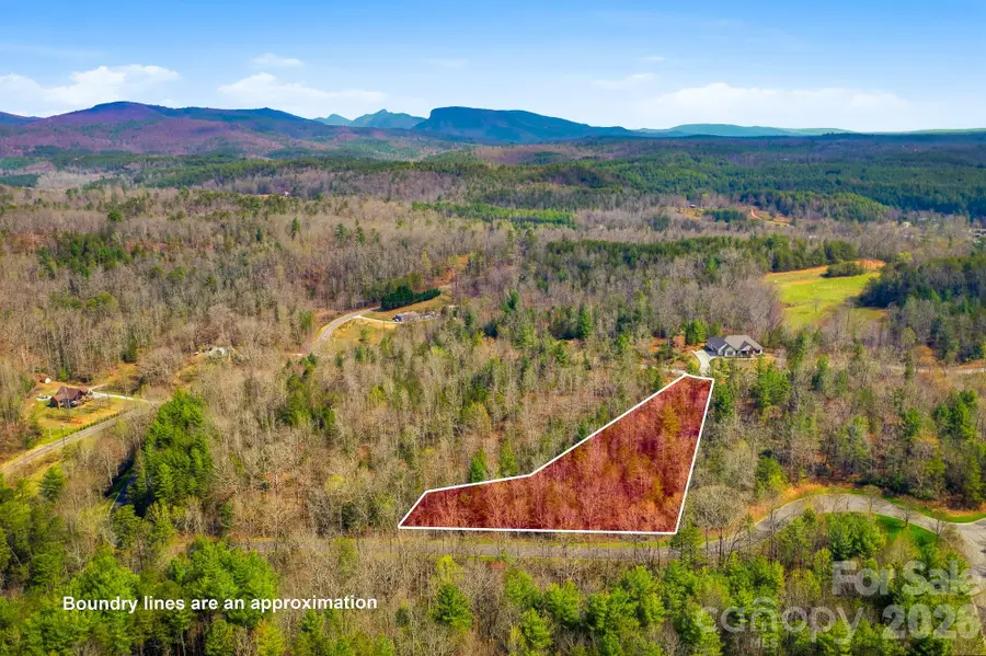 184 Ridge Point Road, Nebo, NC 28761 - #3