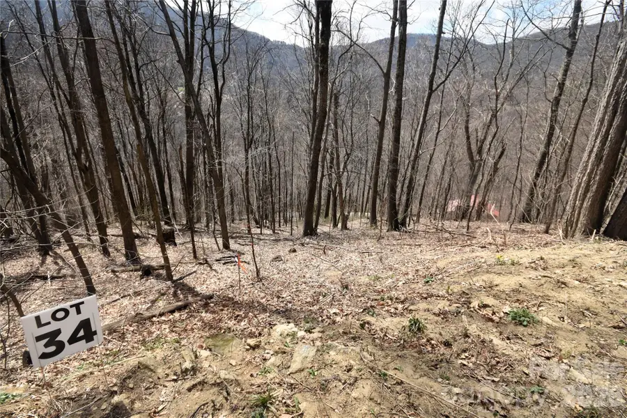 34 Montana Stone Trail #34, Waynesville, NC 28785 - #3