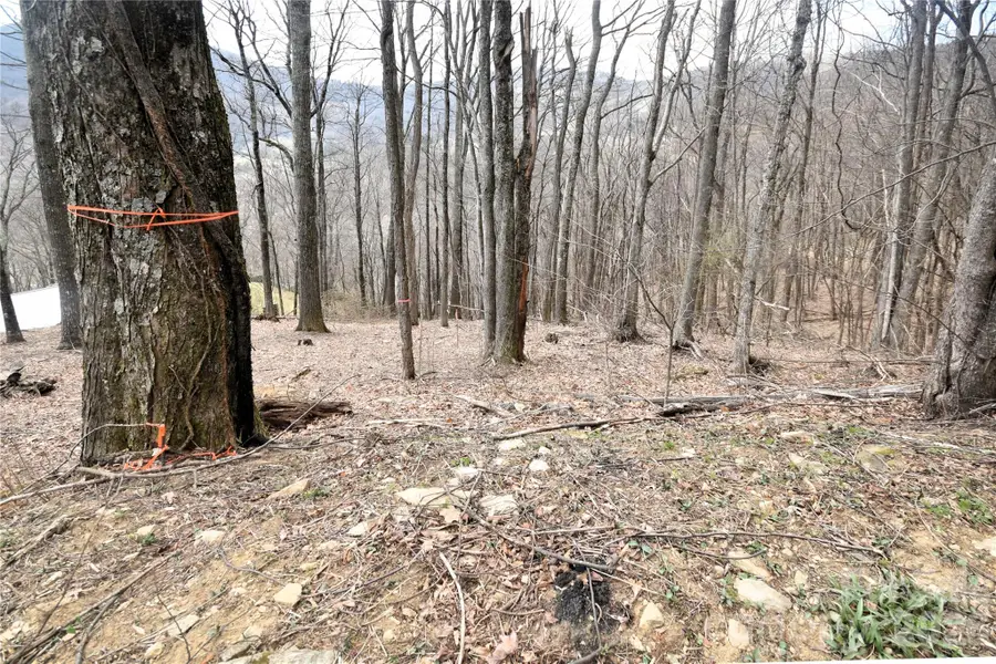 43 Marble Stone Drive #43, Waynesville, NC 28785 - #3