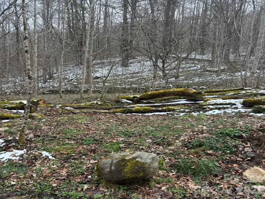 TBD 1.2 Acres Jass Cove Road, Marshall, NC 28753 - #3