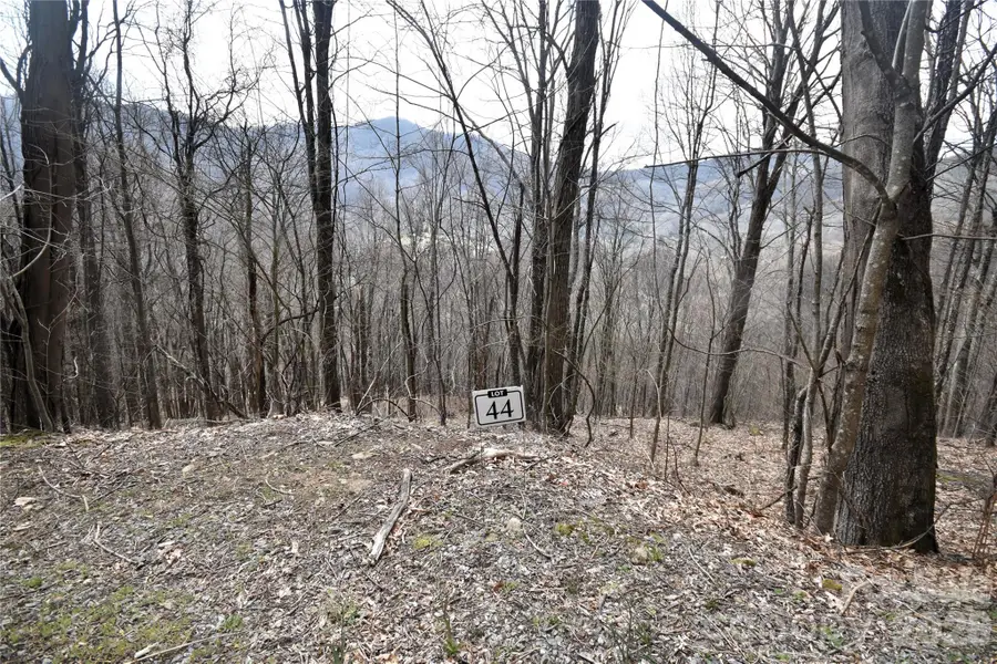 44 Prosperity Ridge #44, Waynesville, NC 28785 - #3