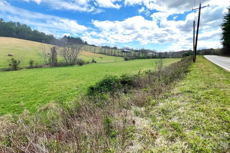 99999 Martin Branch Road, Leicester, NC 28748 - #3