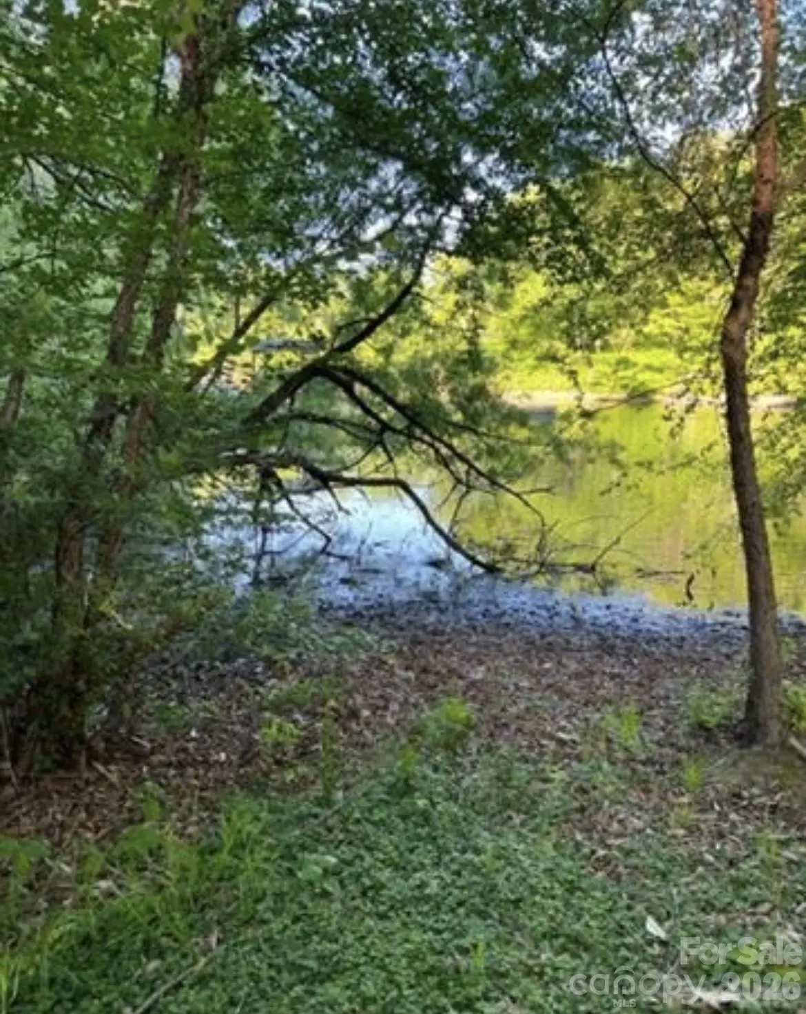 1352 Sir Edward Court, Catawba, NC 28609 - #1