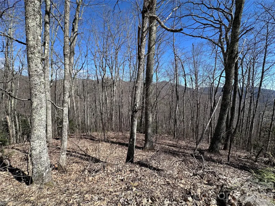 Lot 43 Huckleberry Drive, Maggie Valley, NC 28751 - #2