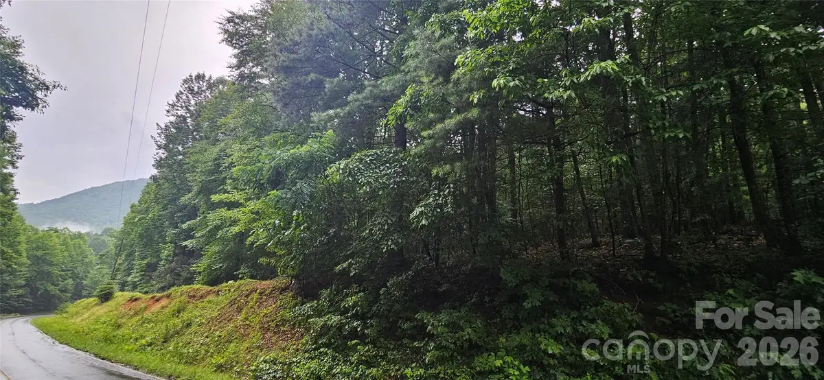 0 Old Ccc Road, Hendersonville, NC 28739 - #1