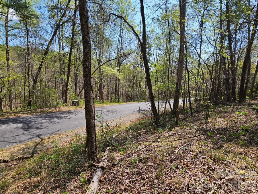 0 Whitney Boulevard #57, Lake Lure, NC 28746 - #3