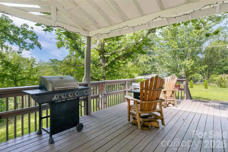 345 Lower Grassy Branch Road, Asheville, NC 28805 - #2