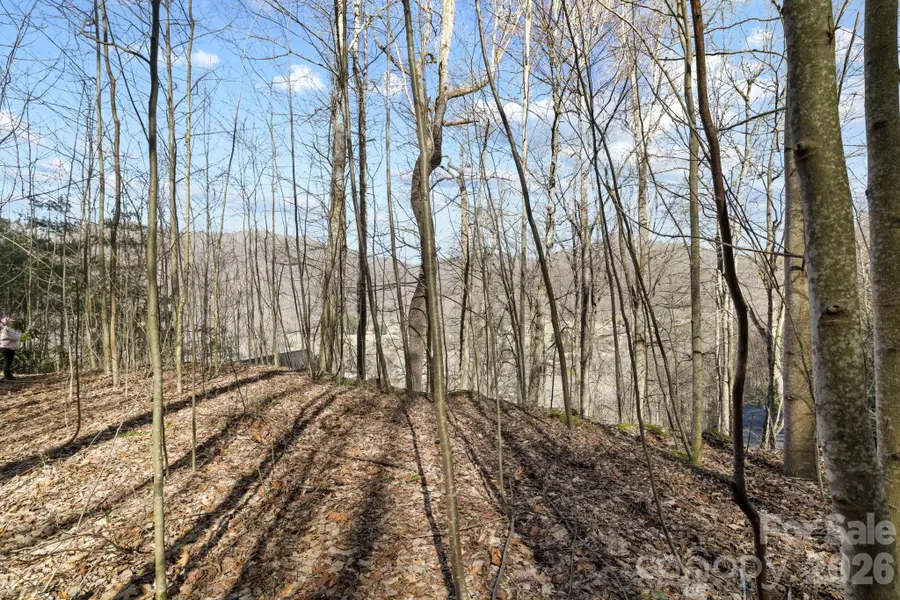 00 Lady Bug Lane W #26, Maggie Valley, NC 28751 - #2