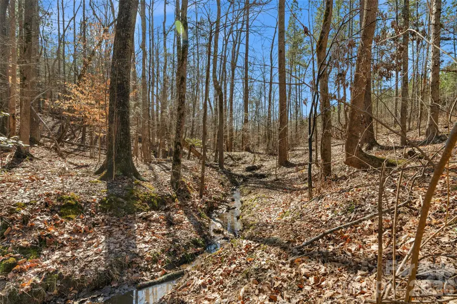 000 Peacehaven Road #5, McConnells, SC 29726 - #2