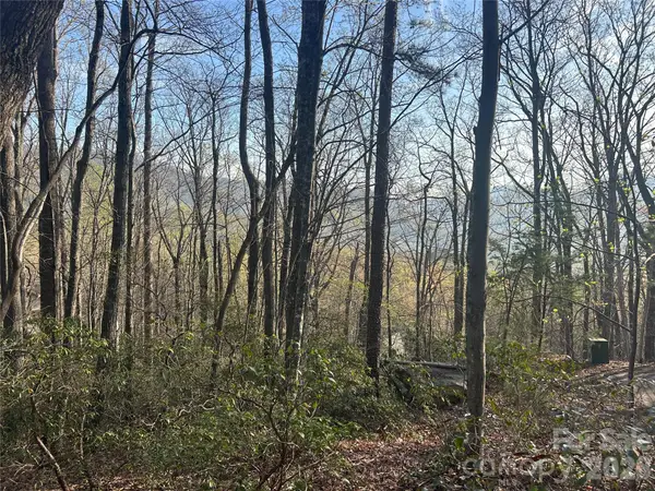 Lot 301 Cardinal Road #301, Lake Lure, NC 28746