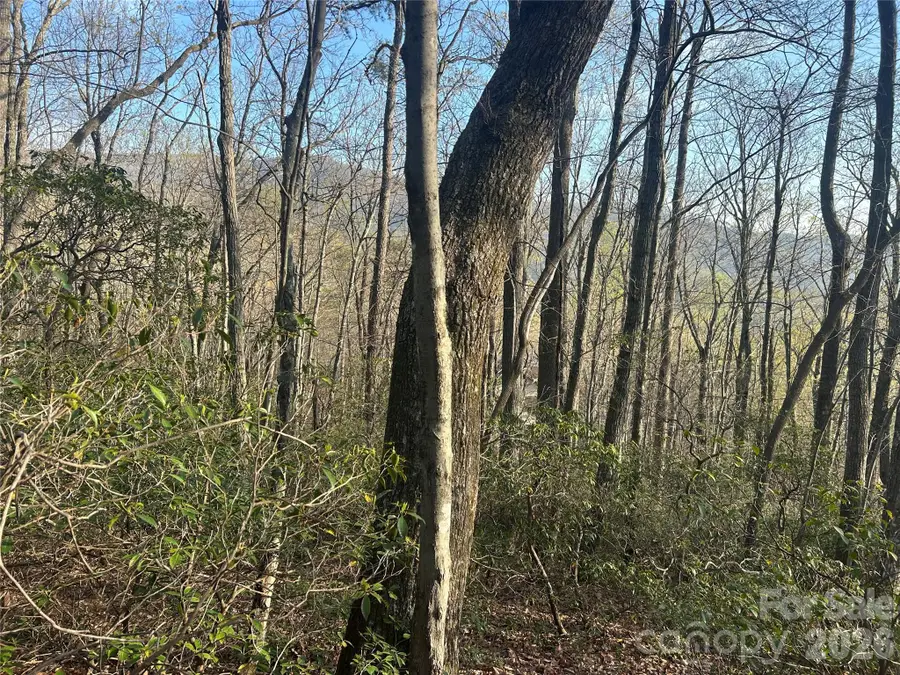 Lot 301 Cardinal Road #301, Lake Lure, NC 28746 - #2