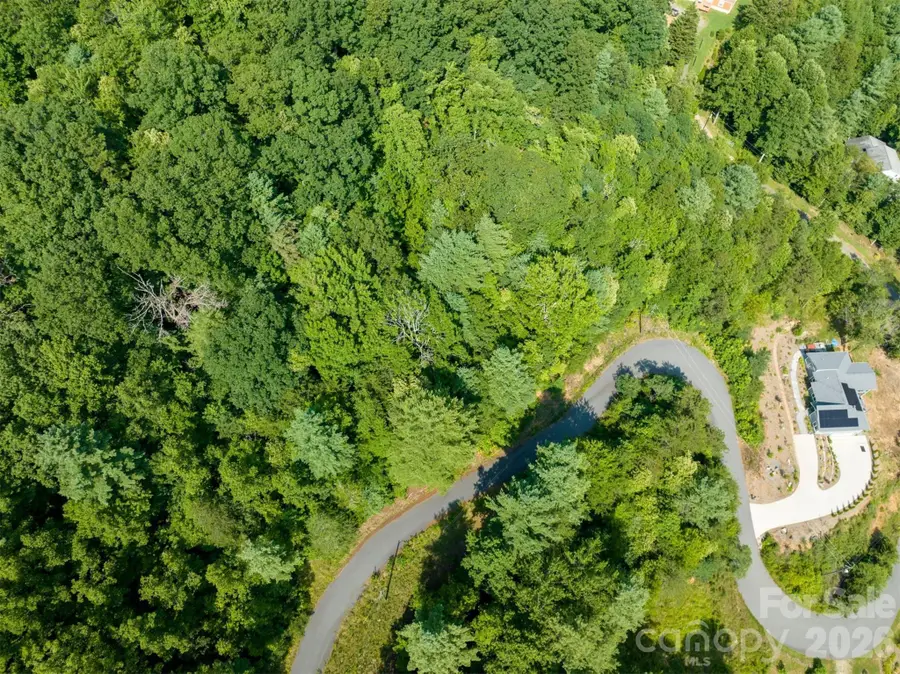 Lot 5 Autumn Trail Lane, Asheville, NC 28803 - #2