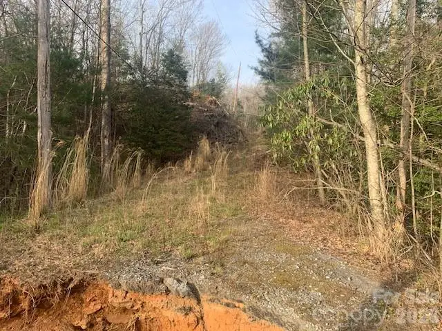 7.67 AC. Holbert Cove Road #7.67 AC., Saluda, NC 28773 - #3