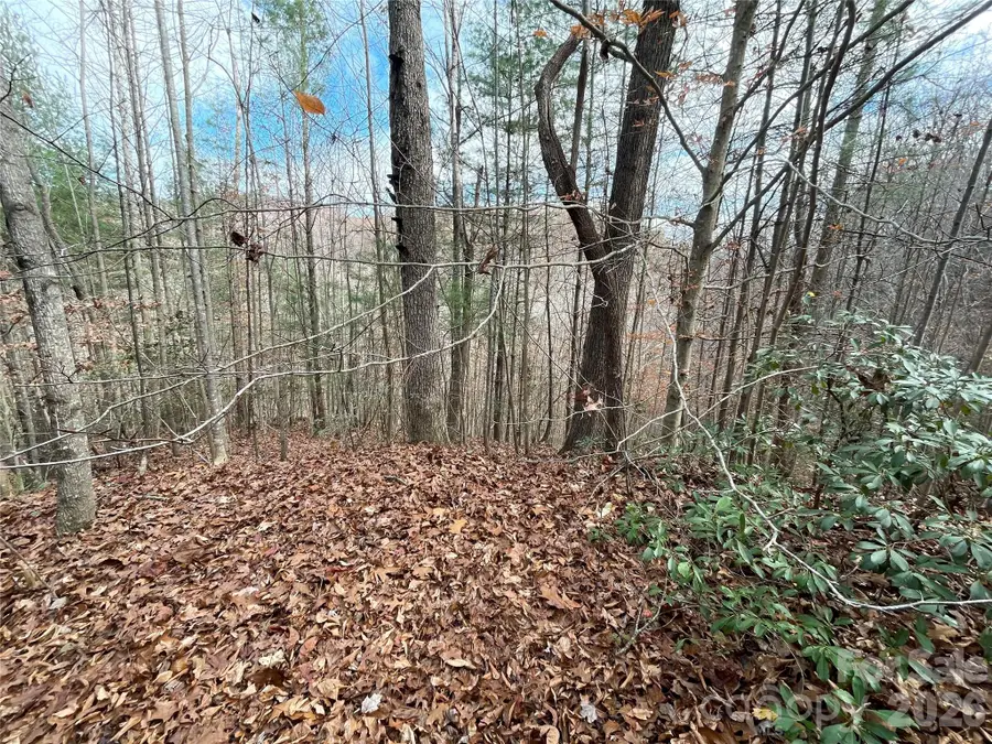 3308 Valley Drive #9m 10m, Lenoir, NC 28645 - #2