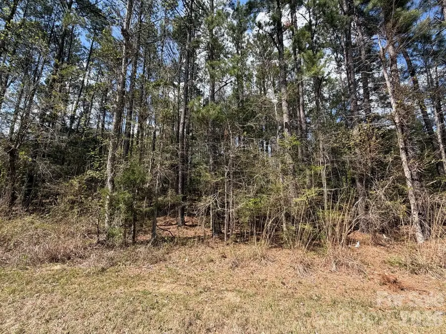 00 Brooklyn Road, Great Falls, SC 29055 - #3